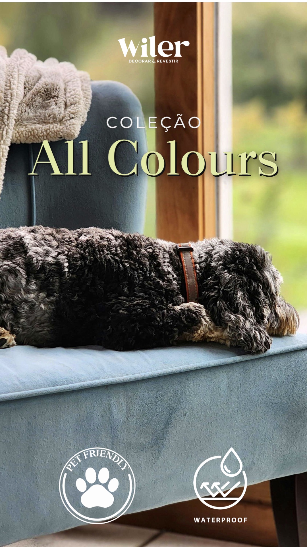 All colours